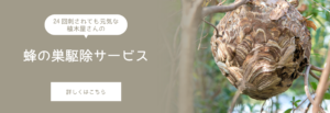 蜂の巣駆除